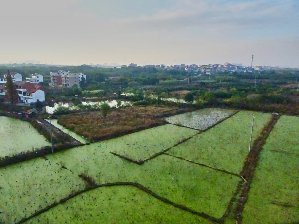 CHINA-2017-18-120 CHINA-2017-18-120