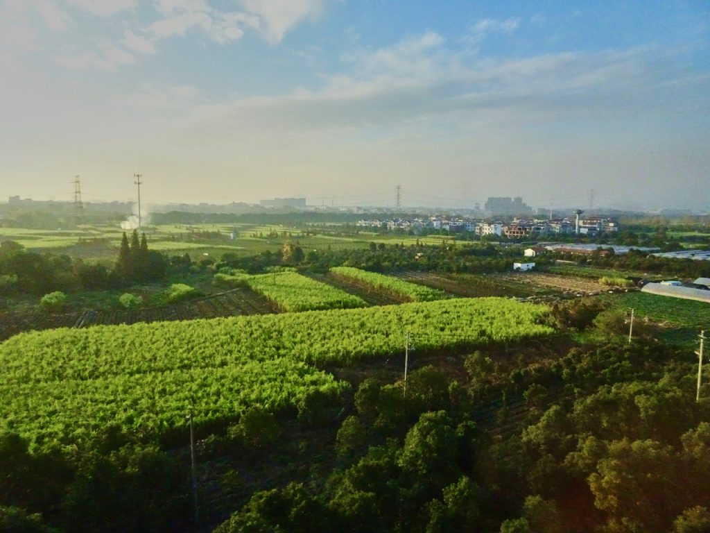 CHINA-2017-18-122 CHINA-2017-18-122