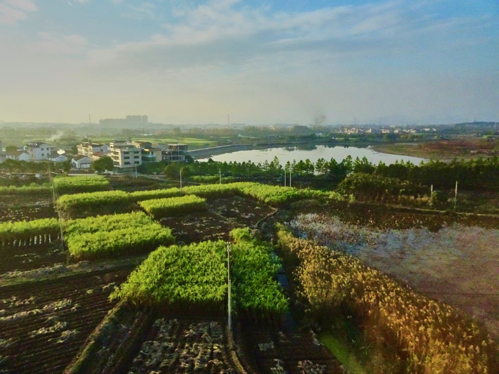 CHINA-2017-18-124 CHINA-2017-18-124