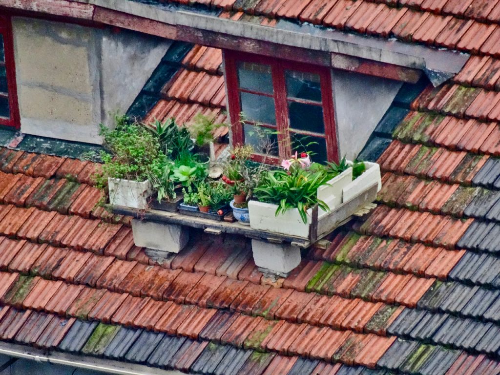 CHINA-2017-19-005 CHINA-2017-19-005