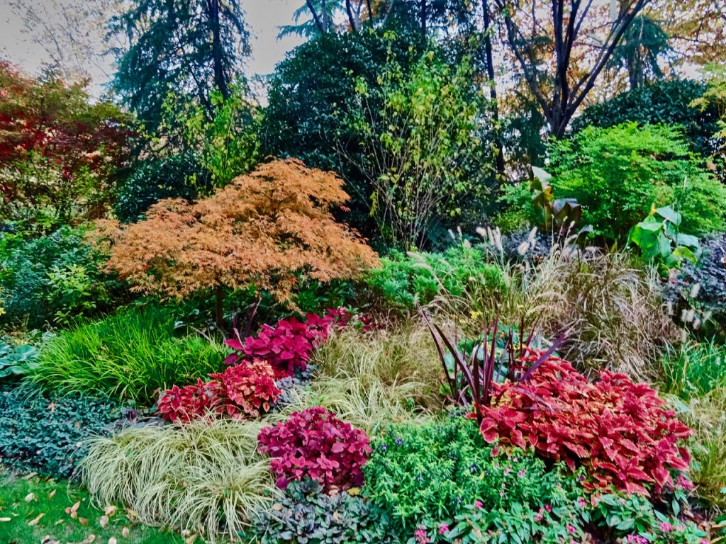 CHINA-2017-19-027 CHINA-2017-19-027