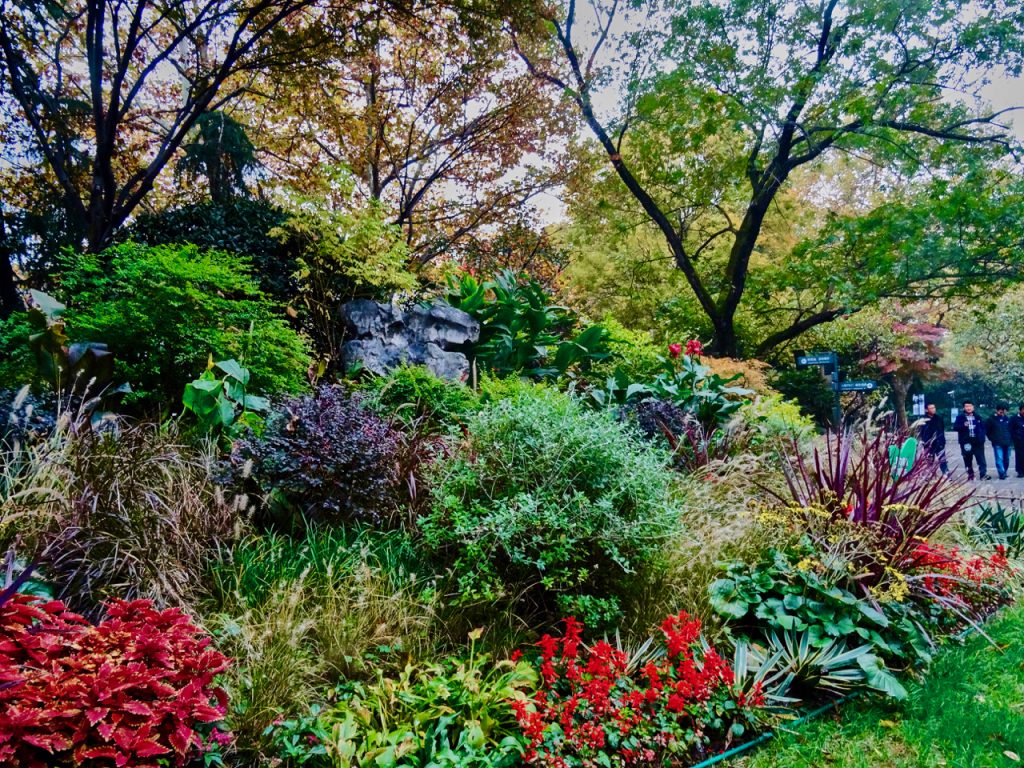 CHINA-2017-19-028 CHINA-2017-19-028