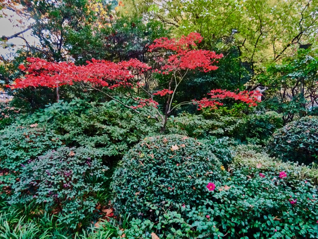 CHINA-2017-19-029 CHINA-2017-19-029