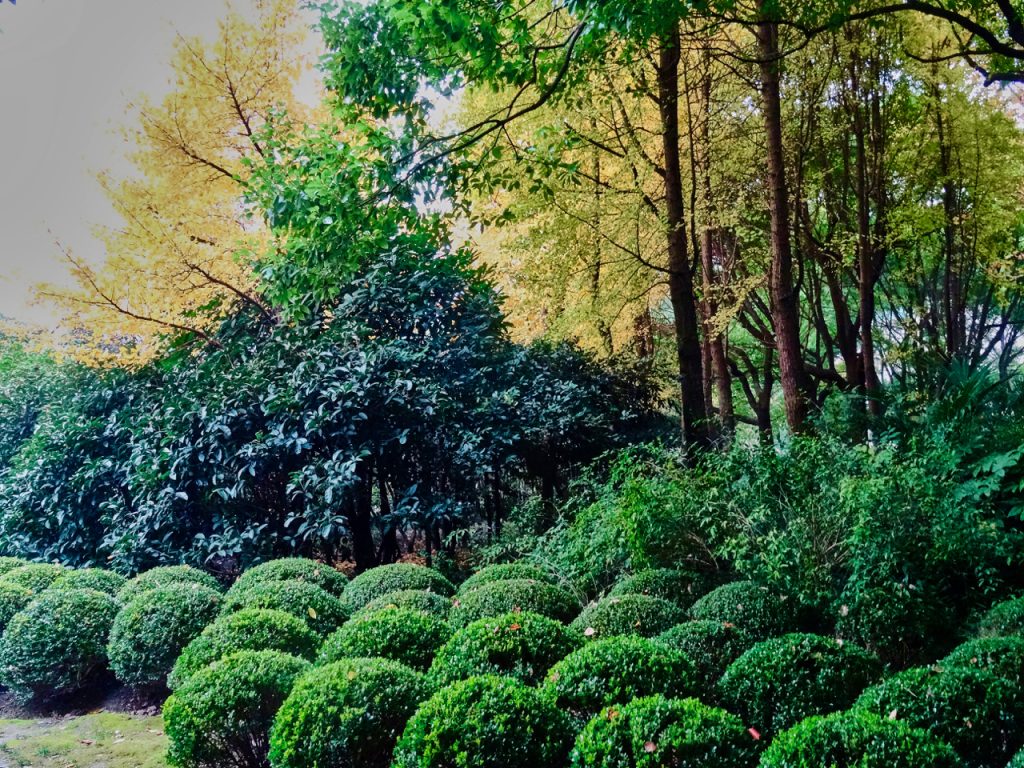 CHINA-2017-19-042 CHINA-2017-19-042