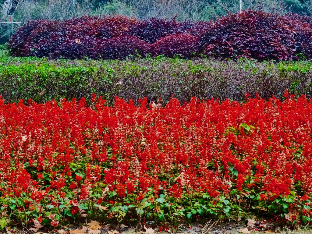 CHINA-2017-19-044 CHINA-2017-19-044