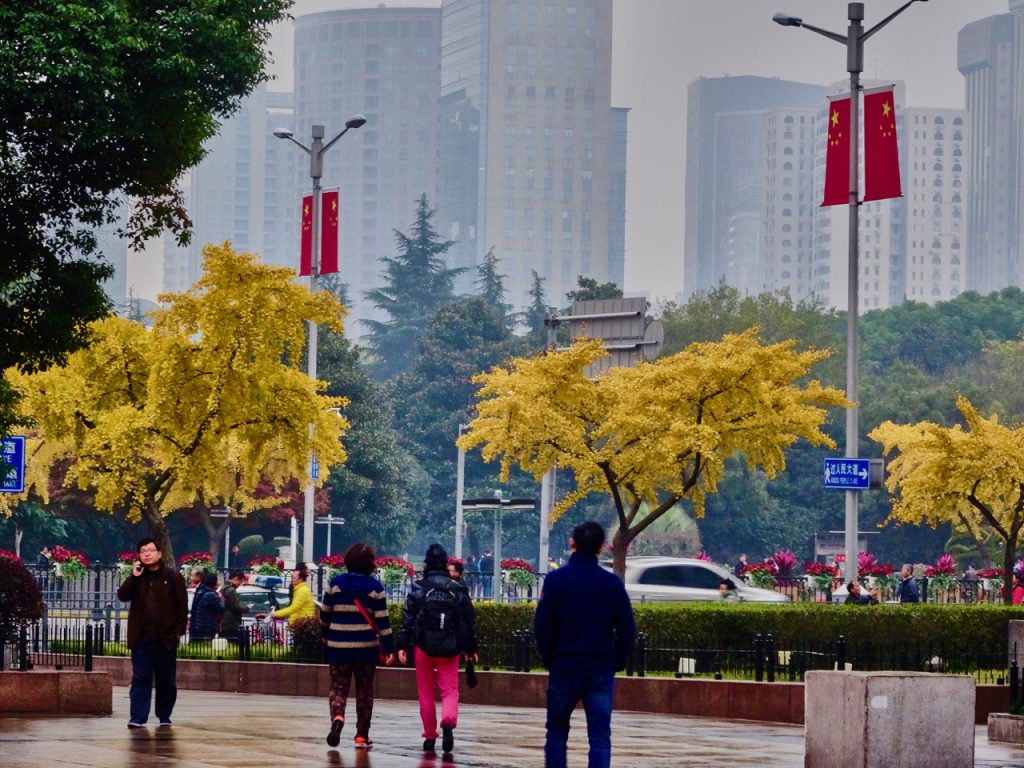 CHINA-2017-19-050 CHINA-2017-19-050