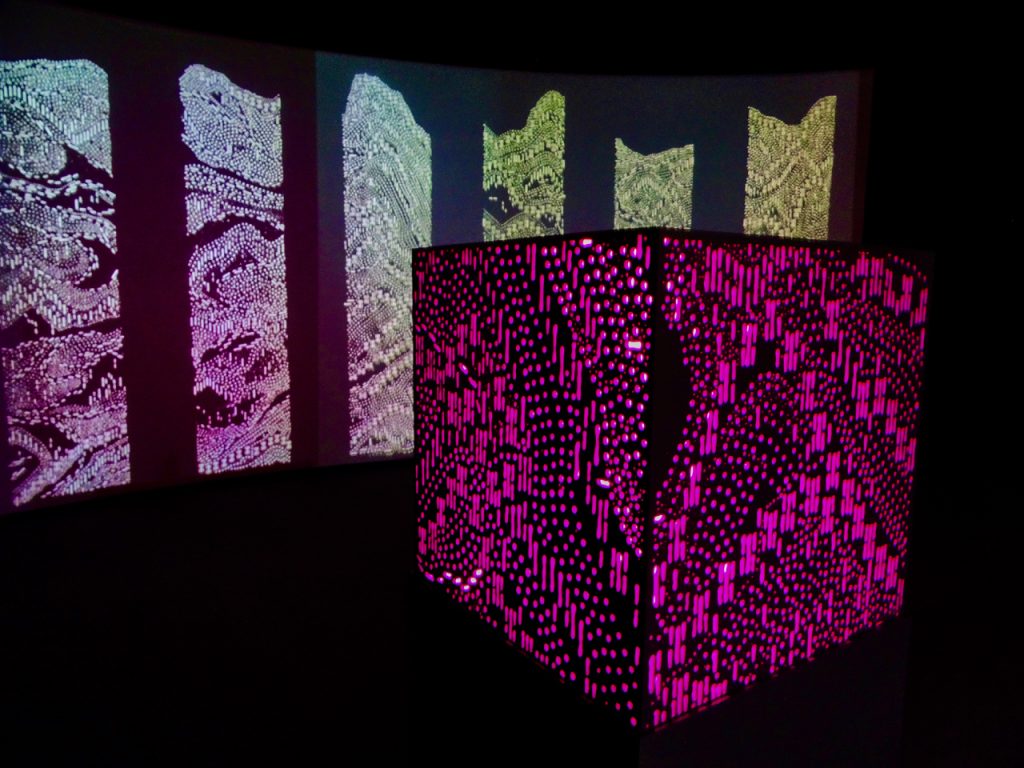 CHINA-2017-19-058 CHINA-2017-19-058