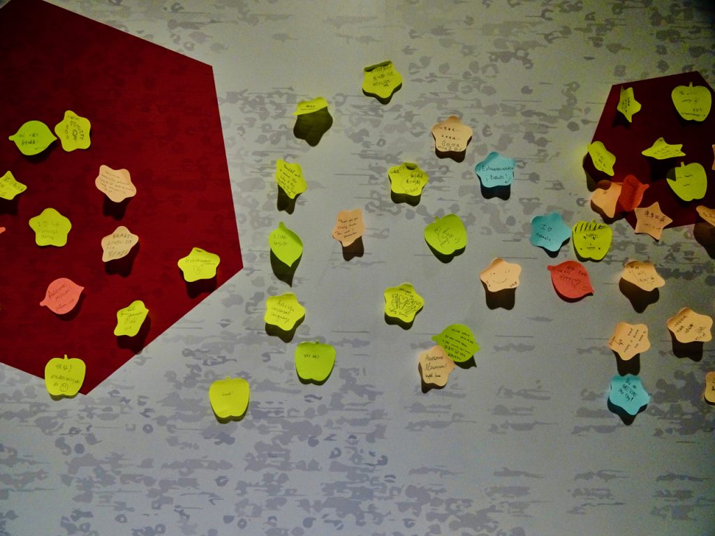 CHINA-2017-19-062 CHINA-2017-19-062