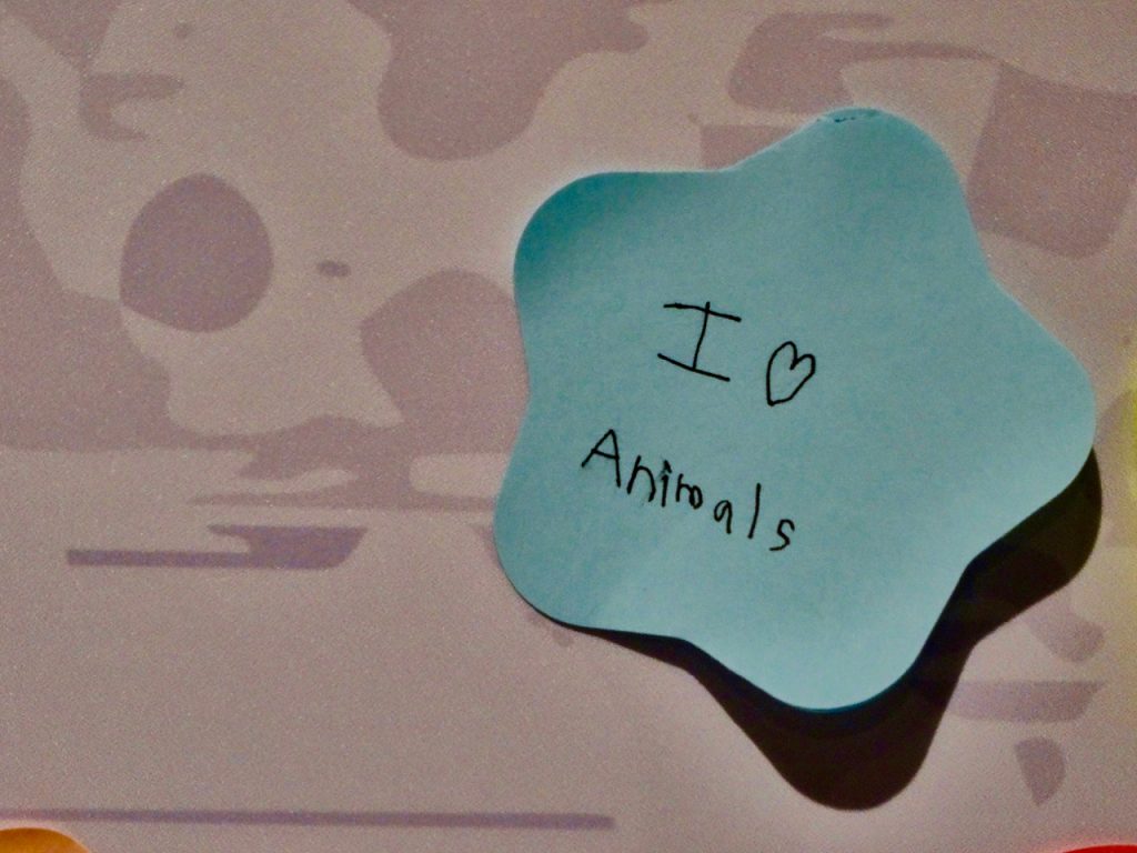 CHINA-2017-19-063 CHINA-2017-19-063