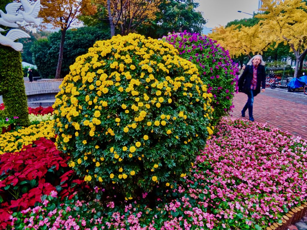 CHINA-2017-19-085 CHINA-2017-19-085